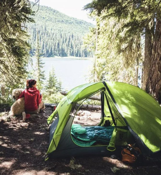 REI: Camping Basics Class - The Market Place