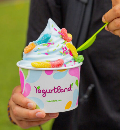 Yogurtland 6 Cup The Market Place