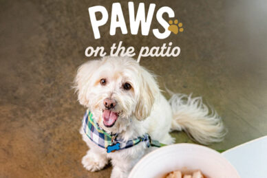 Paws On The Patio
