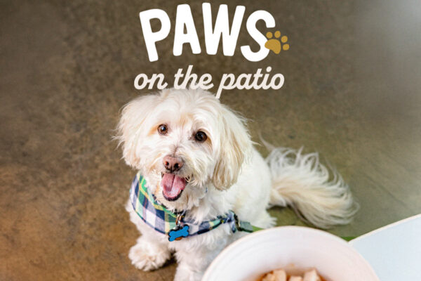 Paws On The Patio
