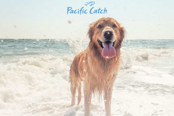 TMP PacificCatch PawsonthePatio