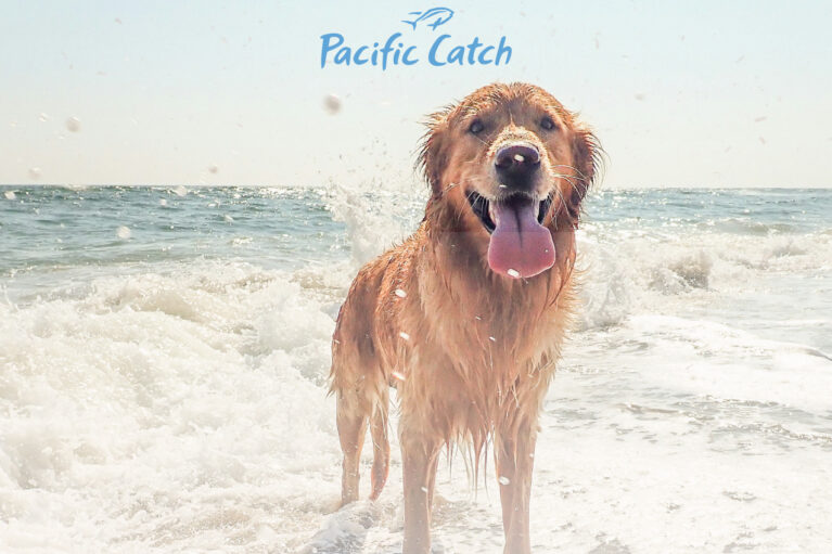 TMP PacificCatch PawsonthePatio