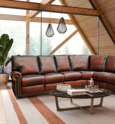 TMP ArizonaLeathers PresDaySale2024-take2