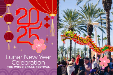 Lunar New Year Celebration Wood Snake Festival