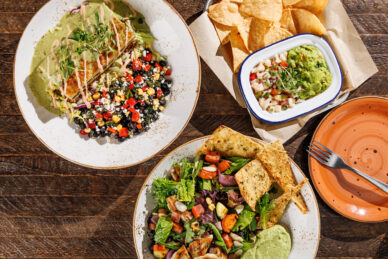 TMP LazyDog NewSpringMenu25