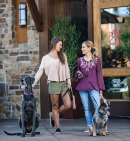 Event for Lazy Dog Restaurant and Bar